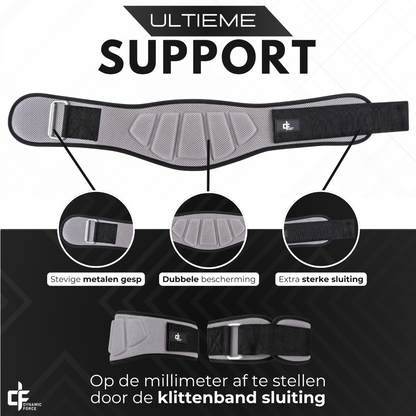 Liftingbelt Grijs - Dynamic Force
