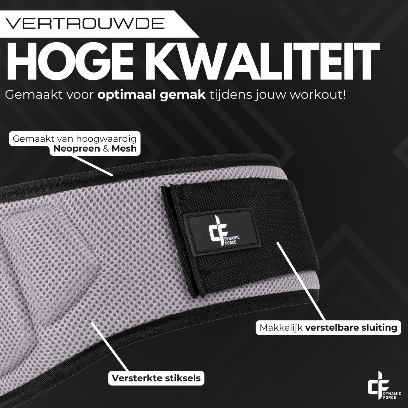 Liftingbelt Grijs - Dynamic Force